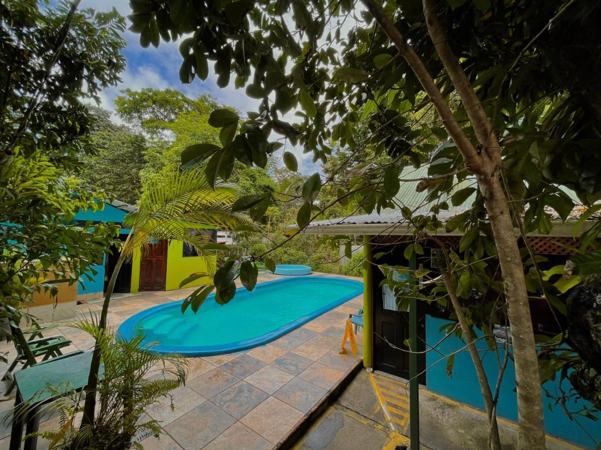 Los Amigos Jungle Hotel Tortuguero Εξωτερικό φωτογραφία