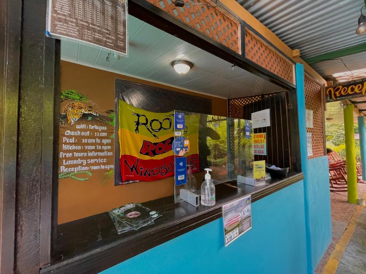 Los Amigos Jungle Hotel Tortuguero Εξωτερικό φωτογραφία