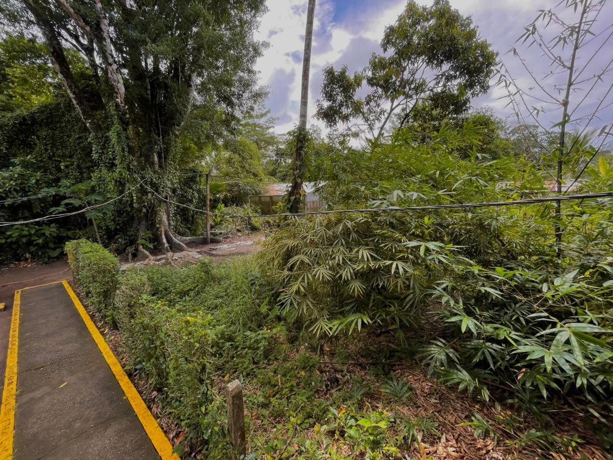 Los Amigos Jungle Hotel Tortuguero Εξωτερικό φωτογραφία