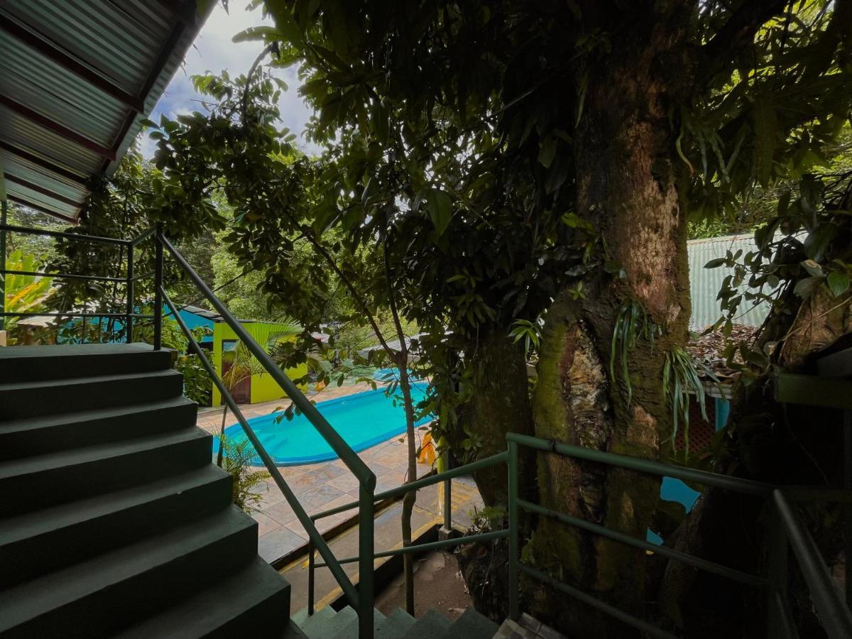 Los Amigos Jungle Hotel Tortuguero Εξωτερικό φωτογραφία