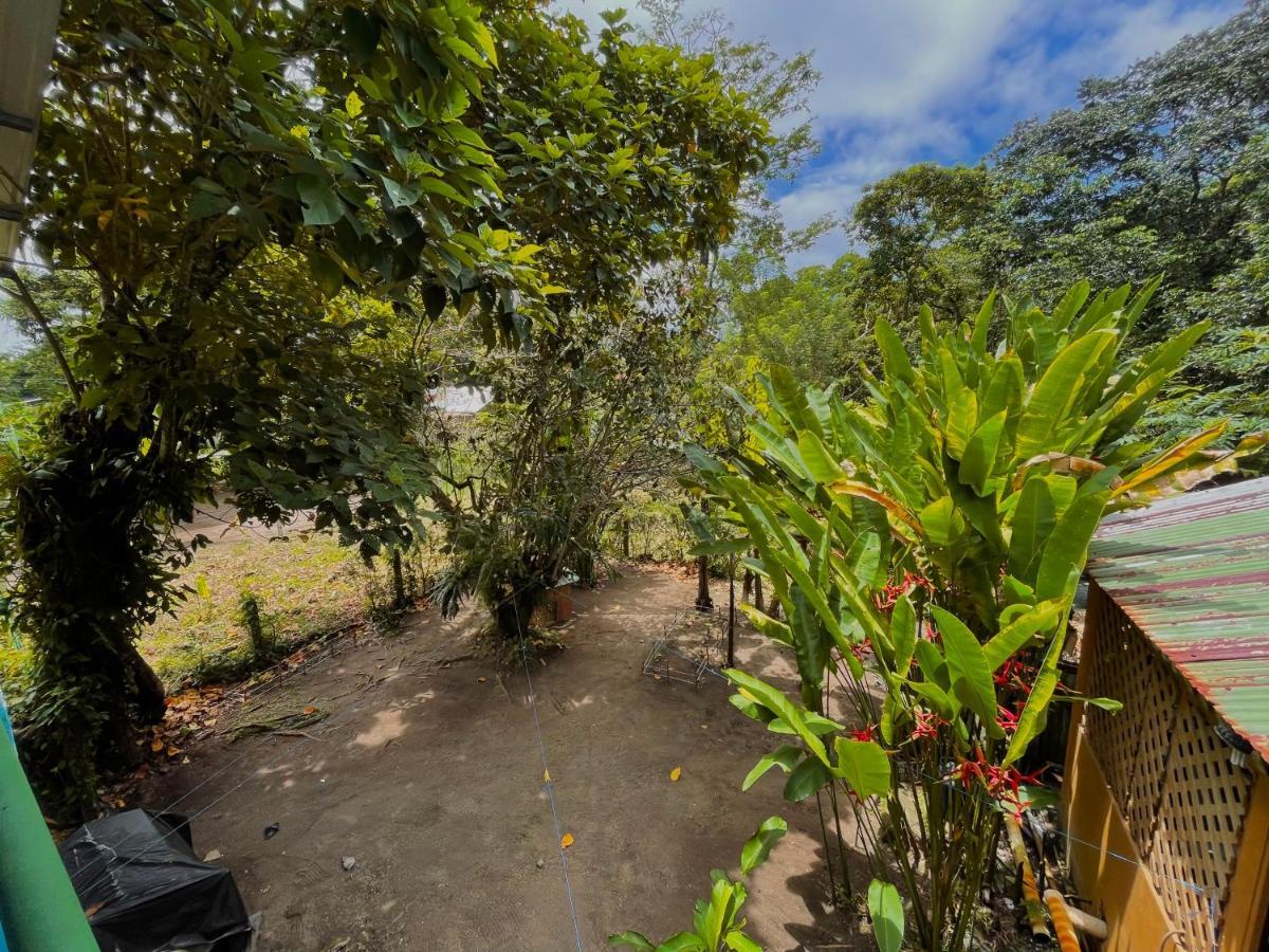 Los Amigos Jungle Hotel Tortuguero Εξωτερικό φωτογραφία