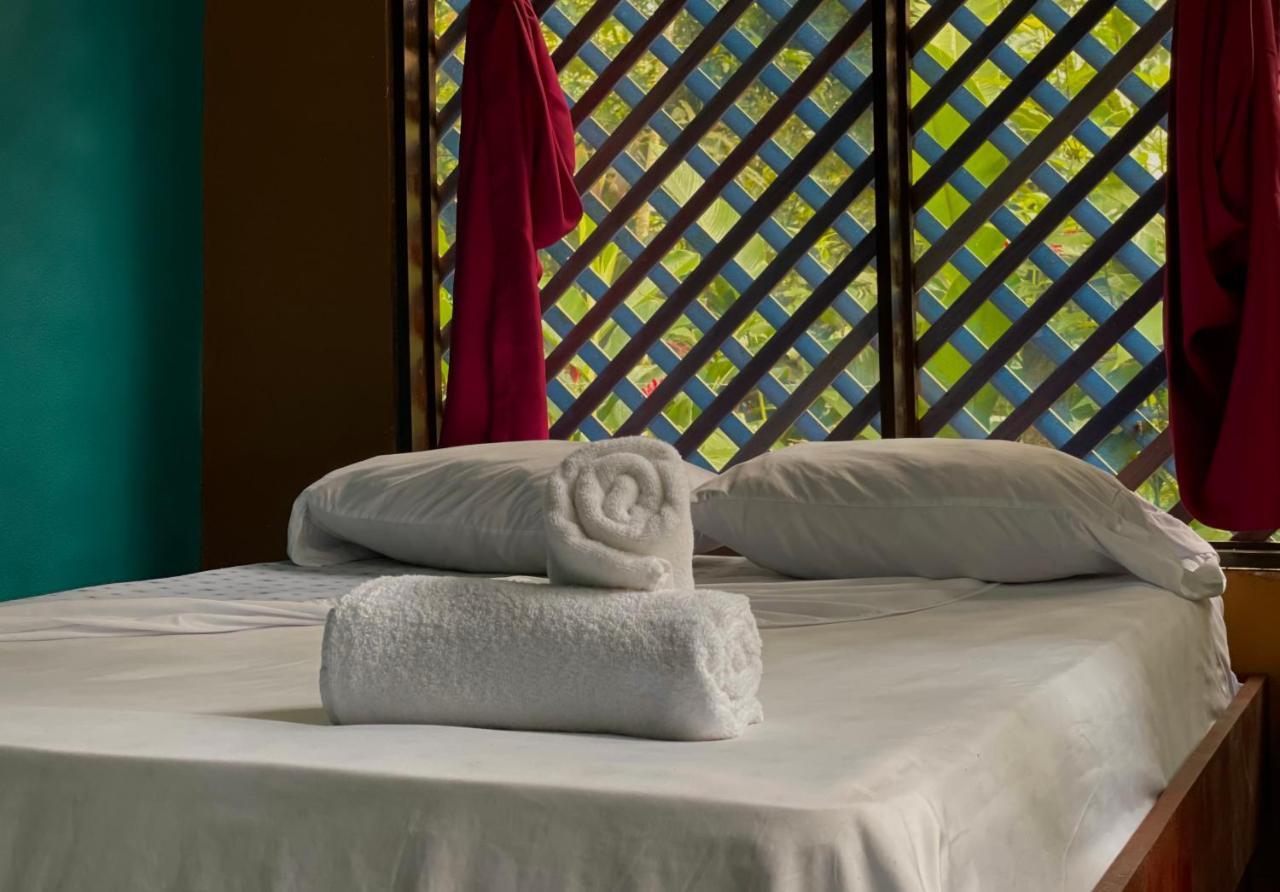 Los Amigos Jungle Hotel Tortuguero Εξωτερικό φωτογραφία