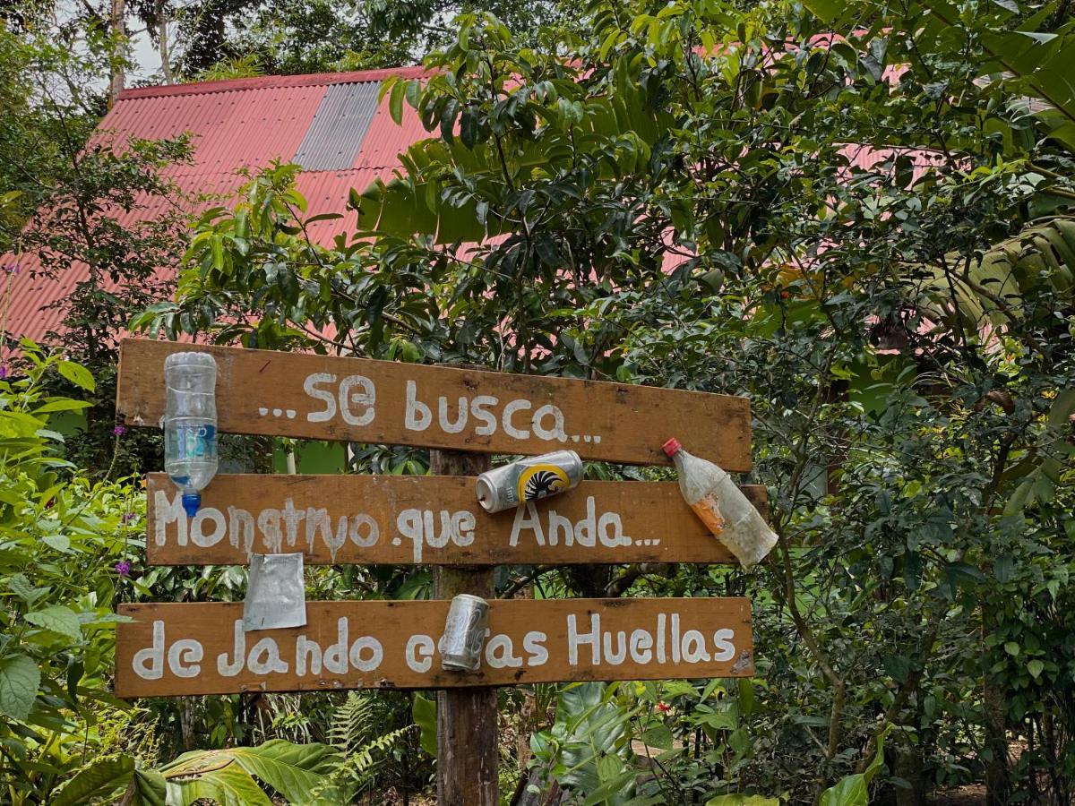 Los Amigos Jungle Hotel Tortuguero Εξωτερικό φωτογραφία